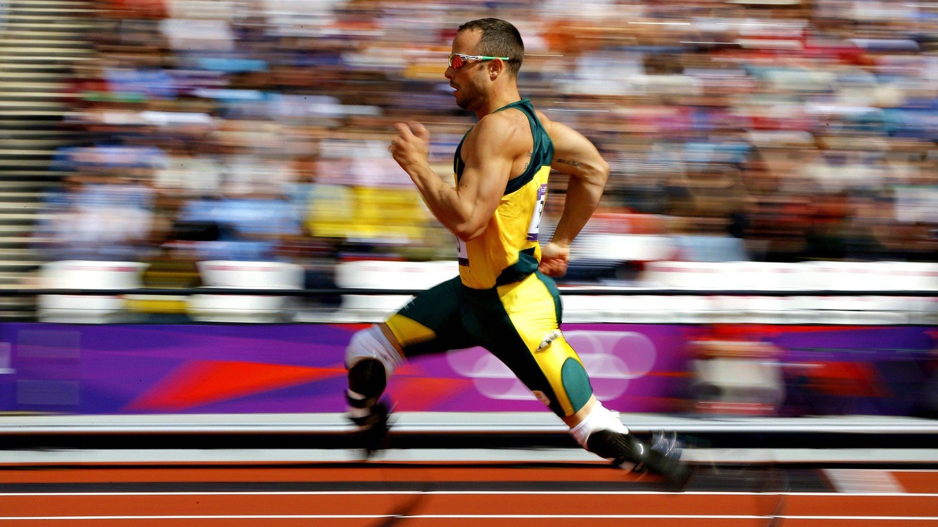 德约科维奇迎来十五赛季出色发挥，MAD观众热烈欢呼！赛场气氛高涨